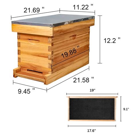 MayBee 5 Frame Nuc Beehive for Bees Complete 